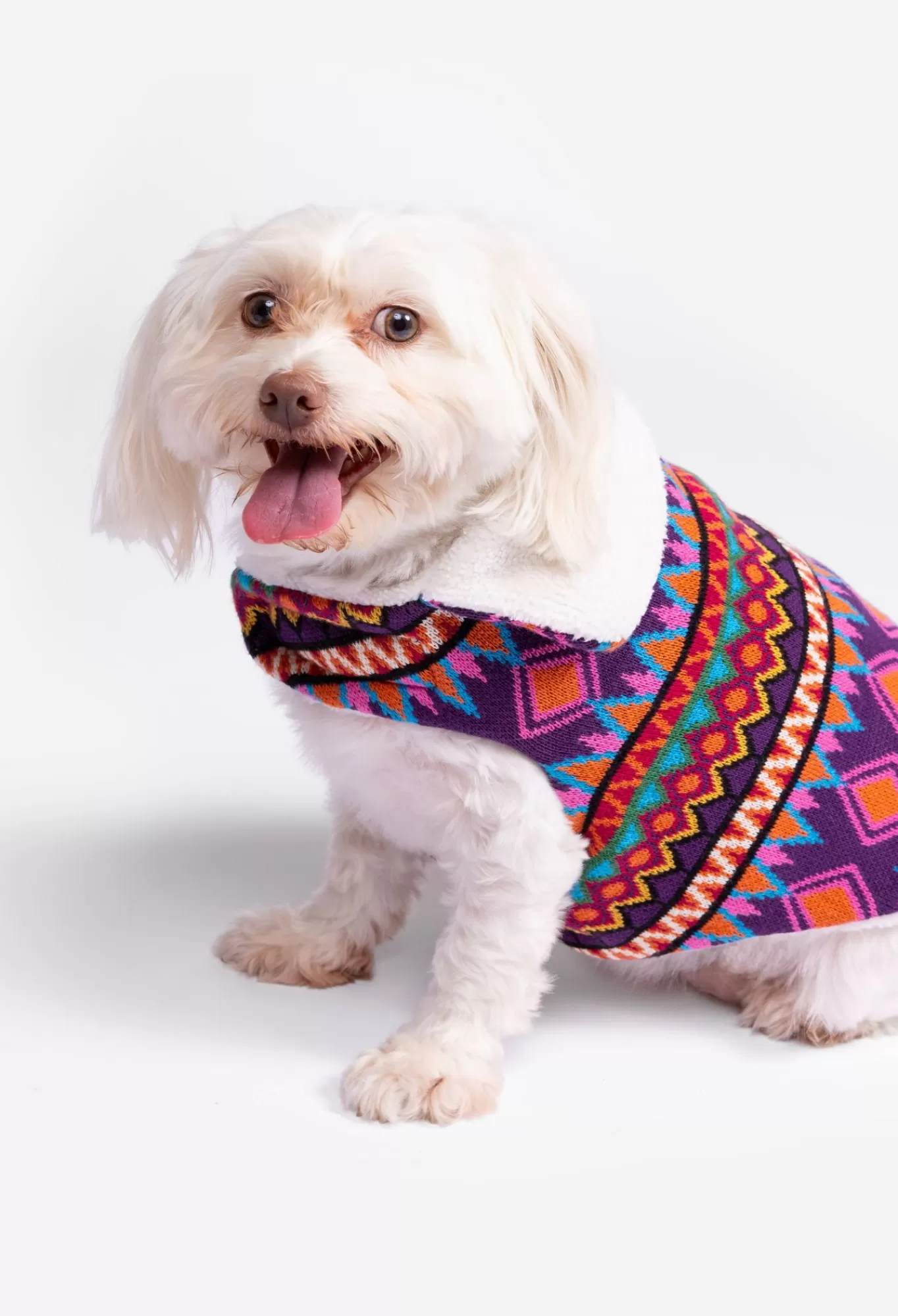 Discount Reversible Dog Vest Women Pet Accessories