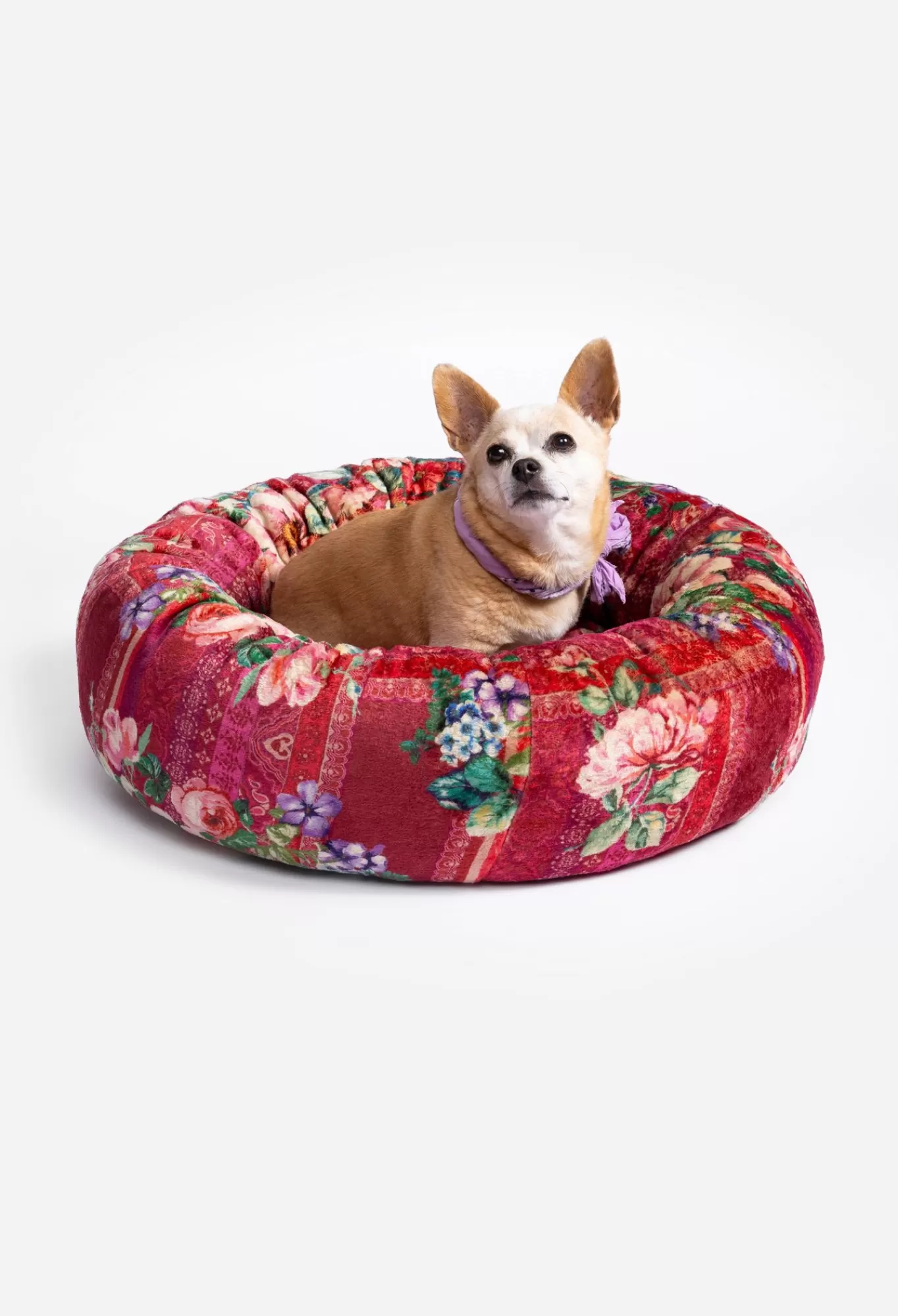 Cheap Small Dog Bed Women Pet Accessories