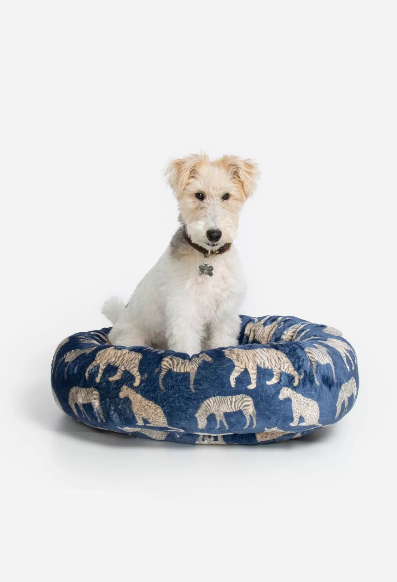 Sale Small Dog Bed Women Pet Accessories