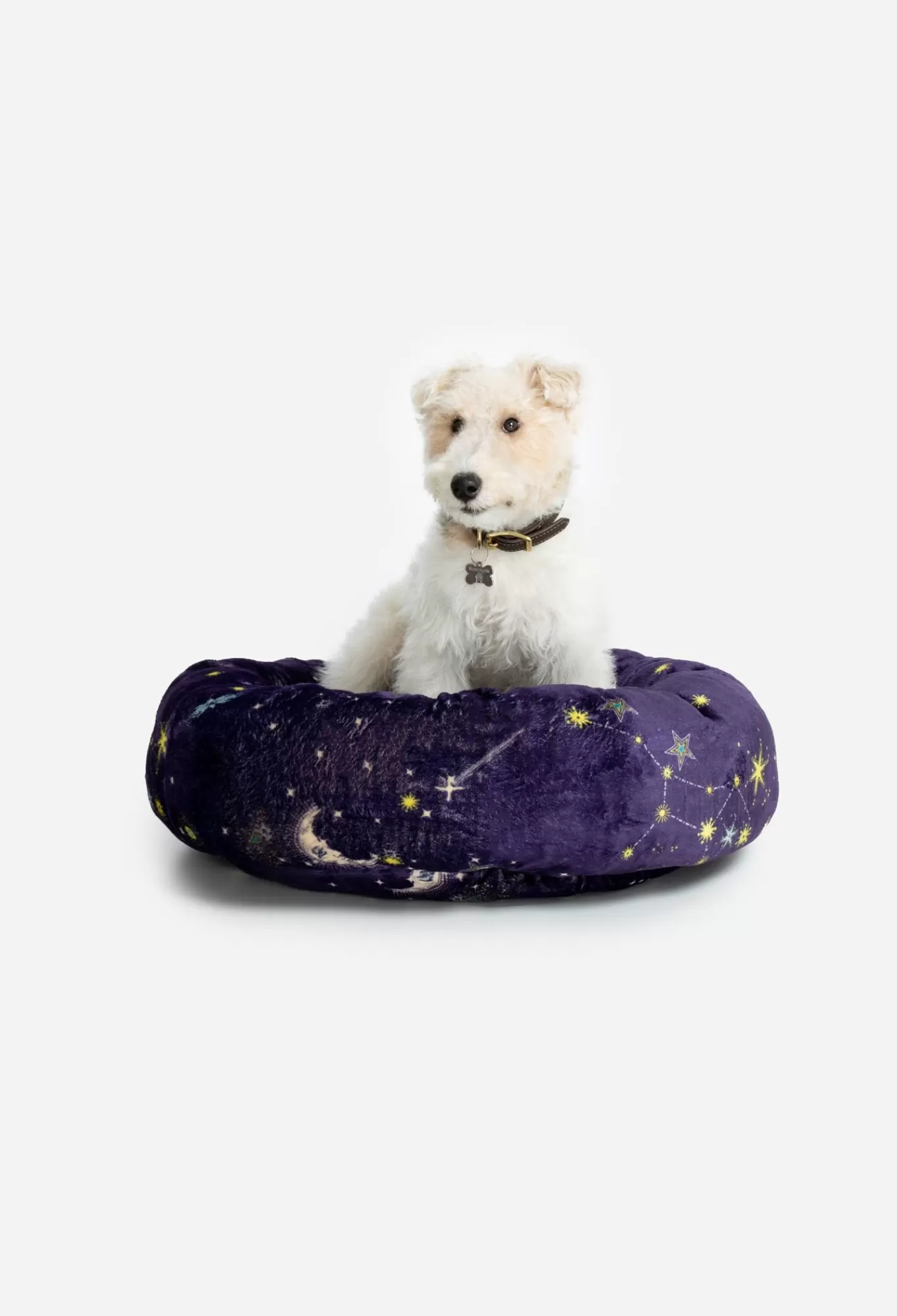 Sale Small Dog Bed Women Pet Accessories