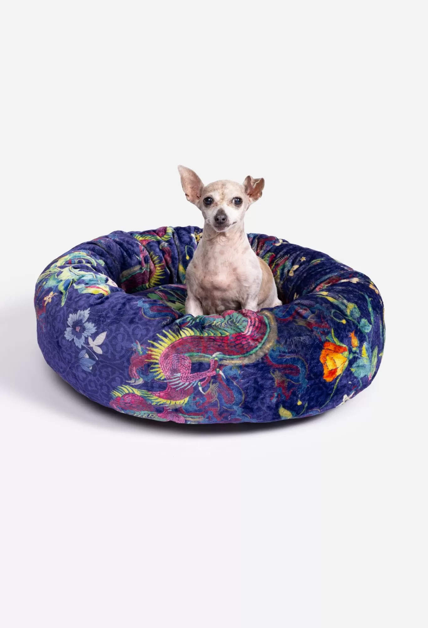 Cheap Small Dog Bed Women Pet Accessories