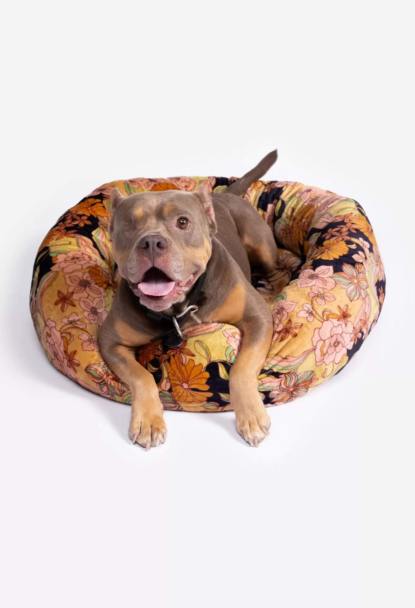 Online Wonder Years Large Dog Bed Women Pet Accessories