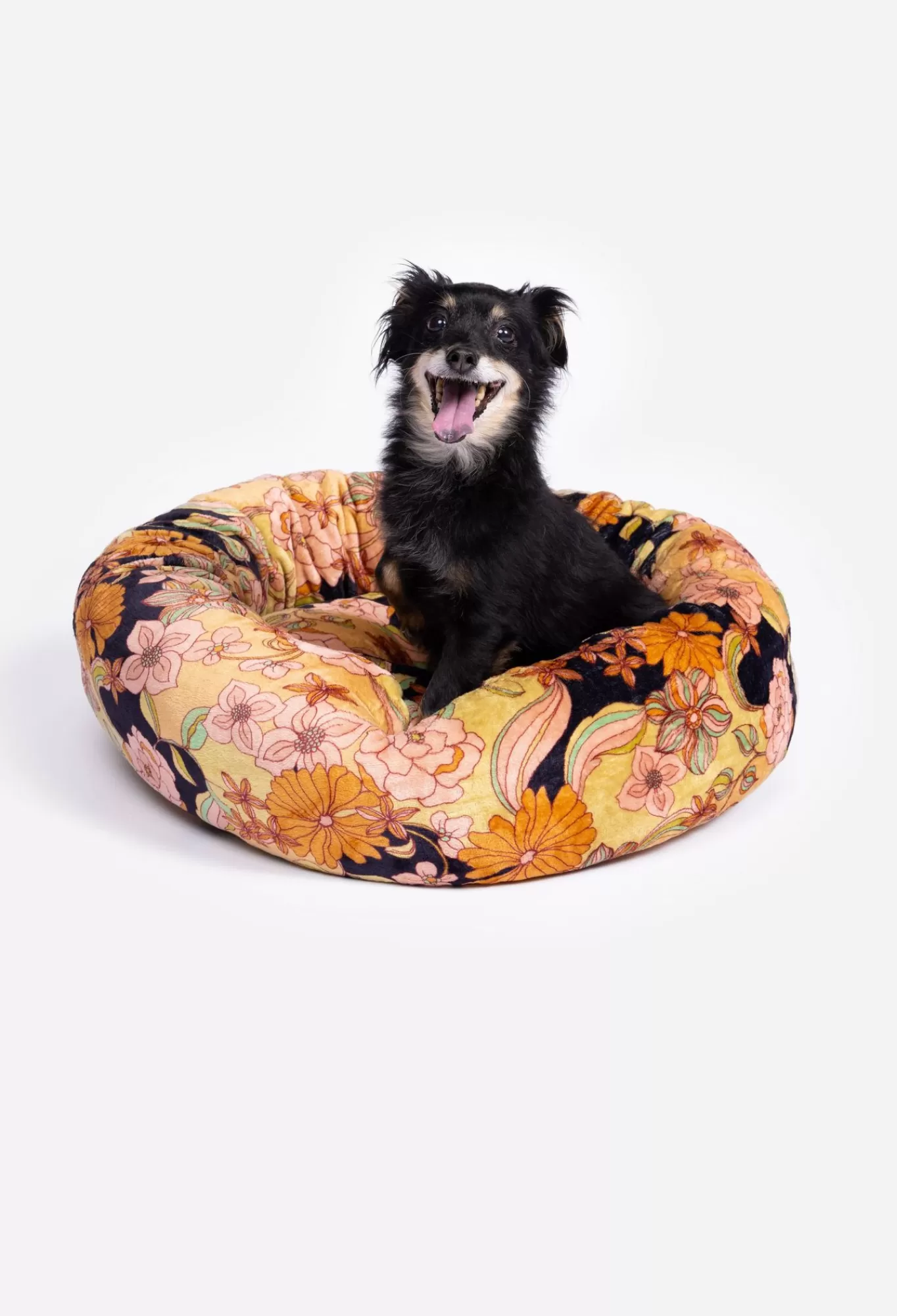 Cheap Wonder Years Small Dog Bed Women Pet Accessories