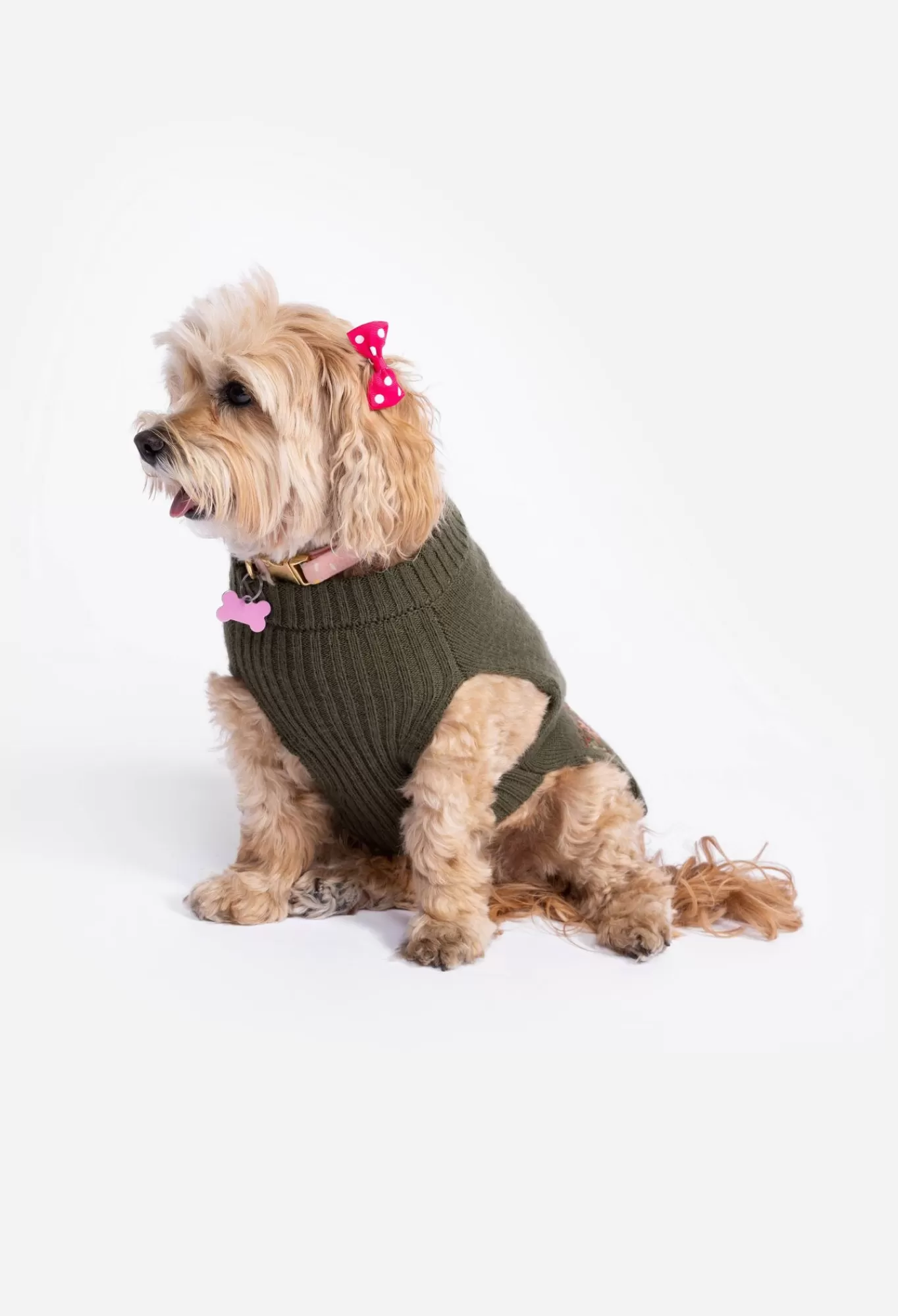 Hot Zuzu Embroidered Dog Sweater Women Pet Accessories