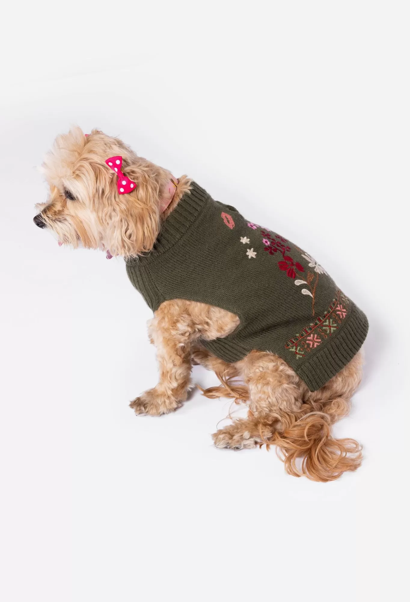 Hot Zuzu Embroidered Dog Sweater Women Pet Accessories